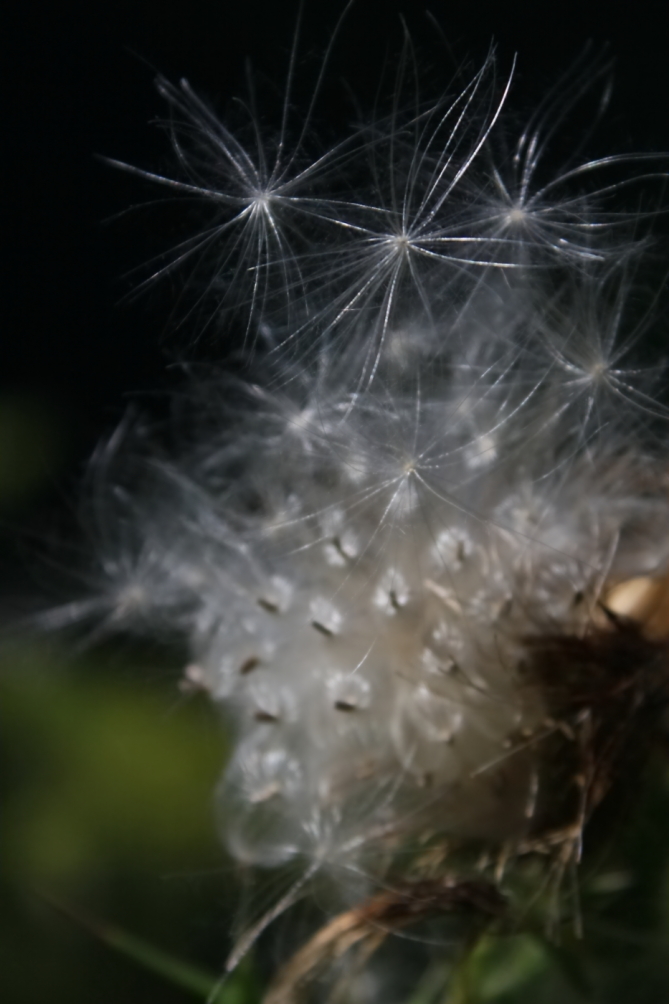 2010 08 28 IMG 06603